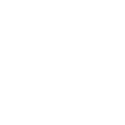 بوابات امنية وكاشفات